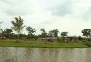kasenge-forest-resort4